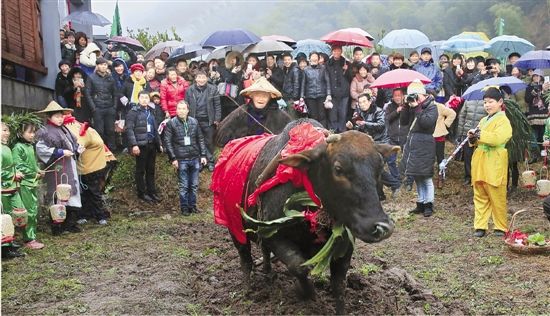 浙江衢州九华立春民俗活动