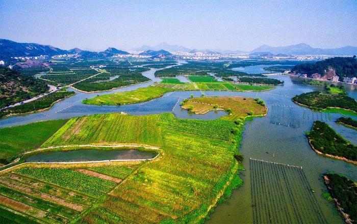 湖南桃江清明节习俗