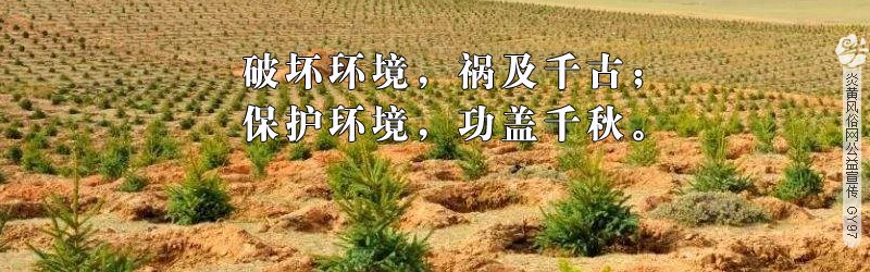 广西百色民俗 田东芒果文化节