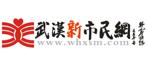 武汉新市民网